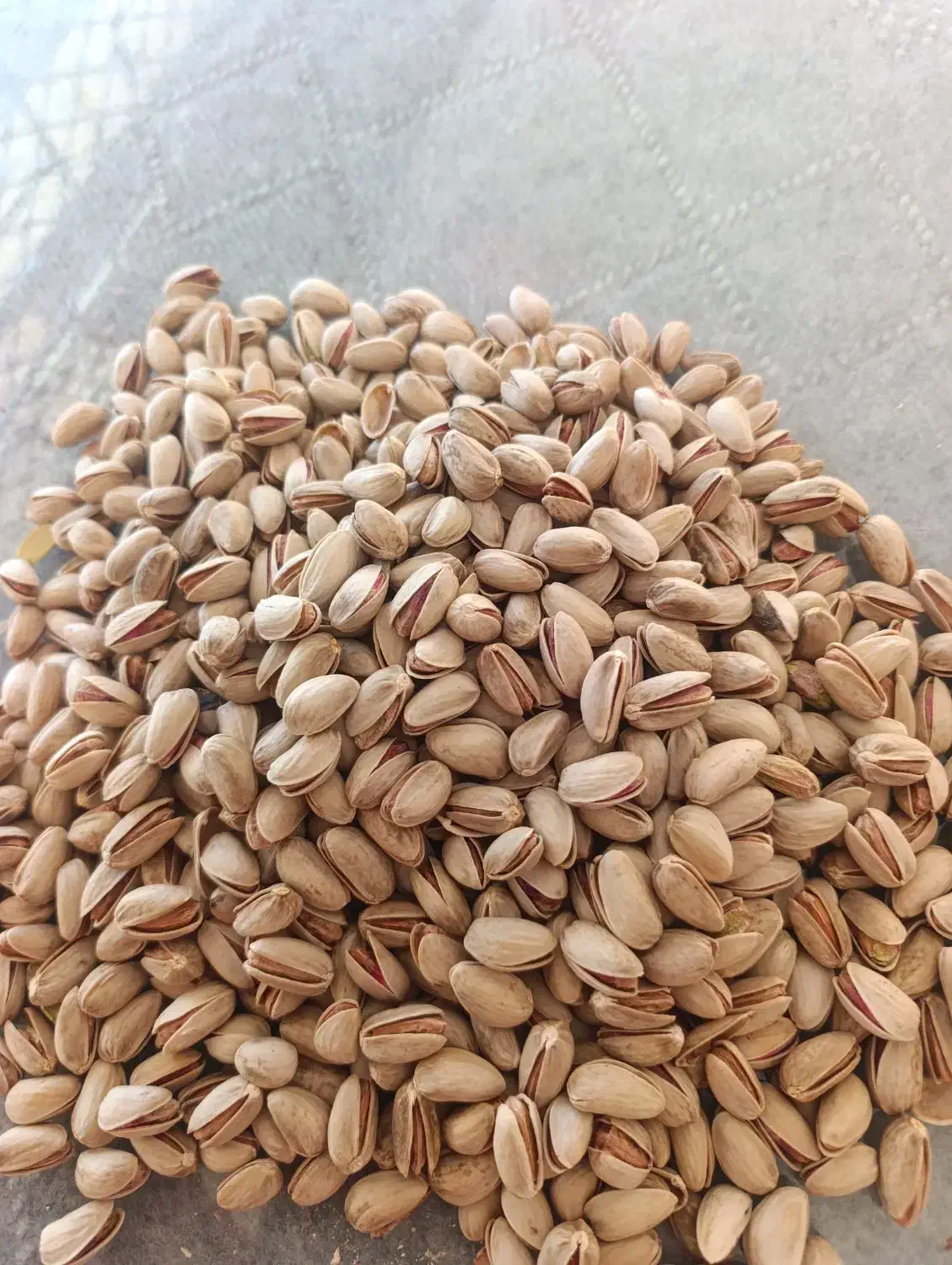 پسته  اکبری توچین|عمده‌فروشی|تهران, شهرک پرواز|دیوار