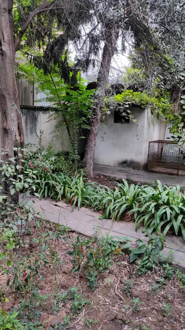 مشارکت در ساخت کوی گلشن|مشارکت در ساخت املاک|ساری, |دیوار