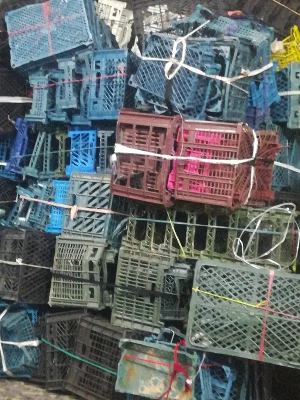 فروش سبد میوه|ظروف نگهدارنده، پلاستیکی، یک‌بارمصرف|مشهد, وحید|دیوار