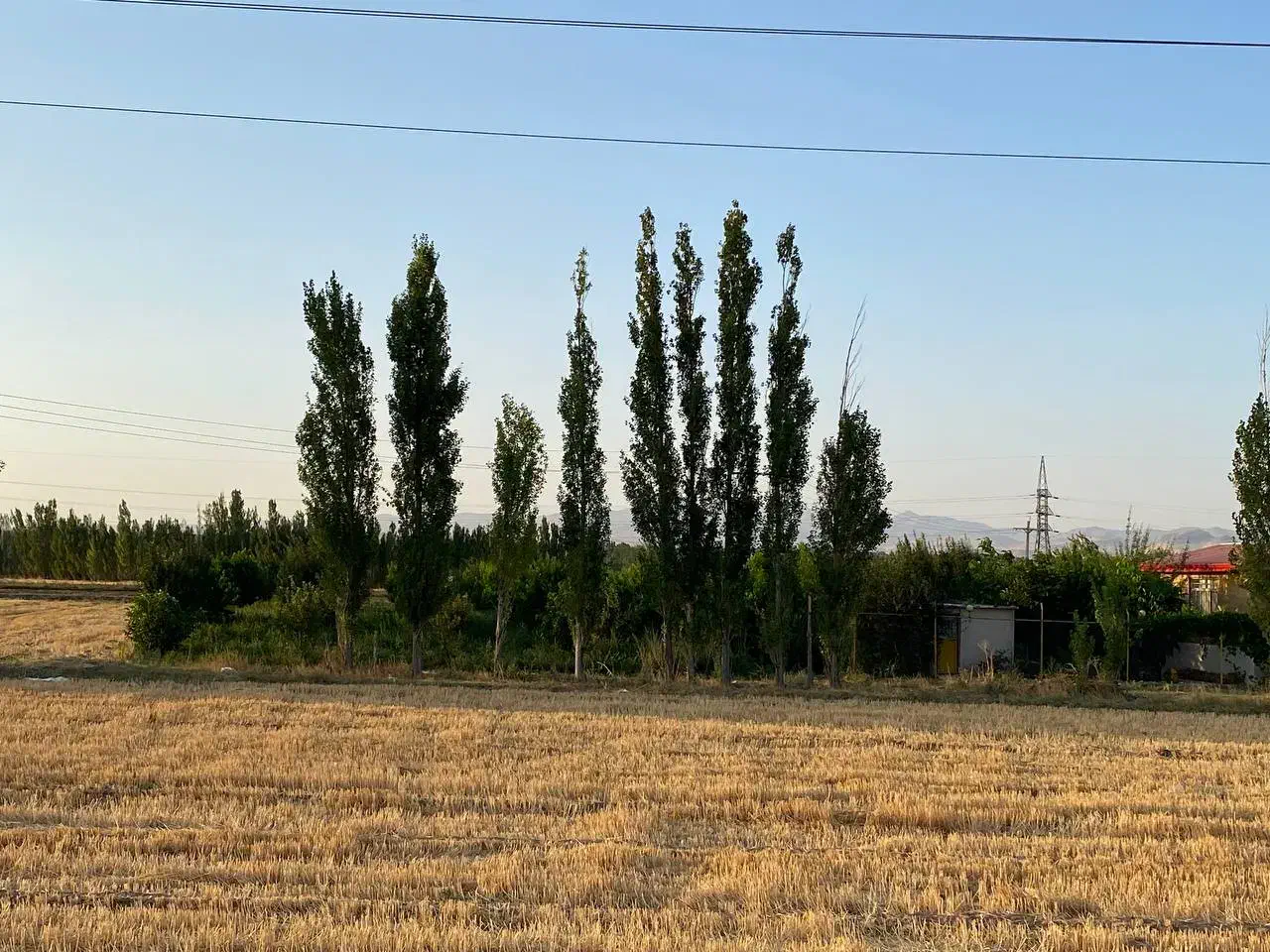 فروش فوری باغ موقعیت وقیمت بسیار مناسب|فروش دفتر صنعتی، کشاورزی، تجاری|سراب, |دیوار