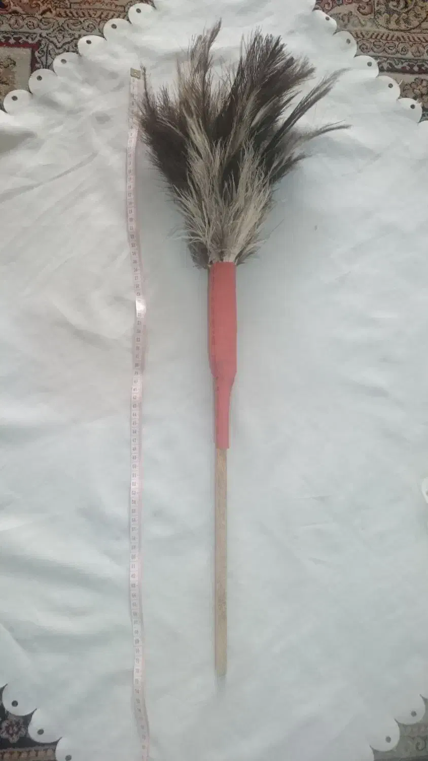 گردگیر پر شترمرغ|لوازم نظافت|کرج, حصارک بالا|دیوار