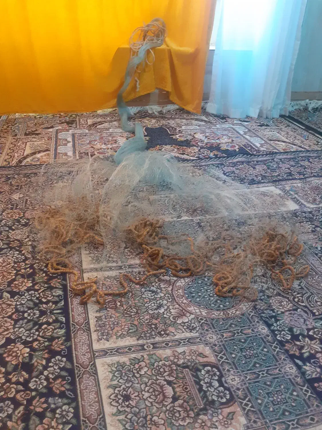 یک عددتورسالیک|ماهیگیری|خرمآباد, |دیوار