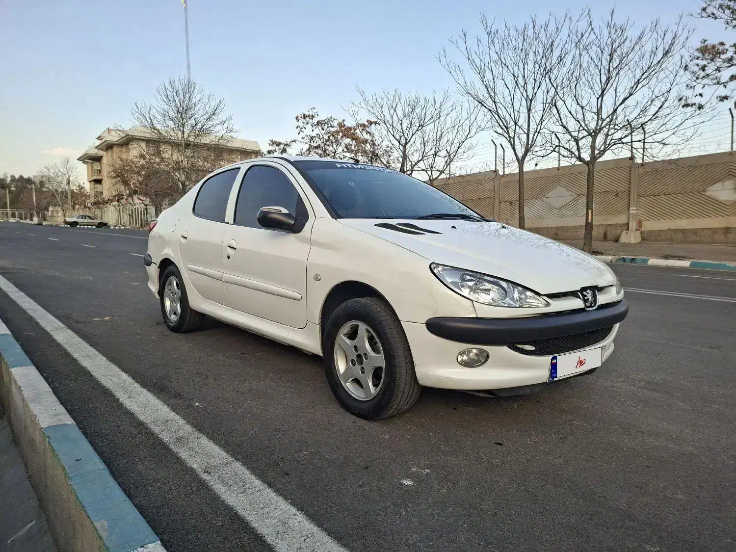 پژو ۲۰۶ SD v8|خودرو سواری و وانت|تهران, تهرانپارس شرقی|دیوار