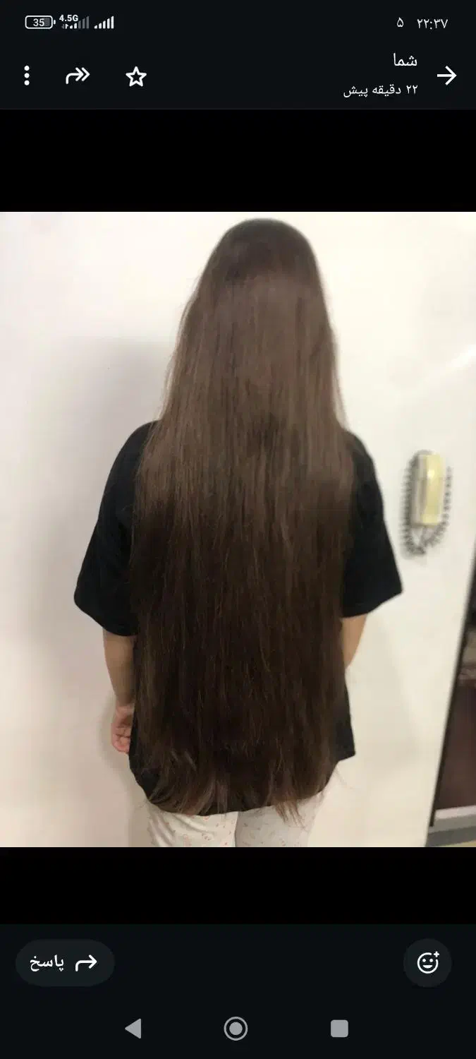 خریدار موی طبیعی|خدمات آرایشگری و زیبایی|سورک, |دیوار