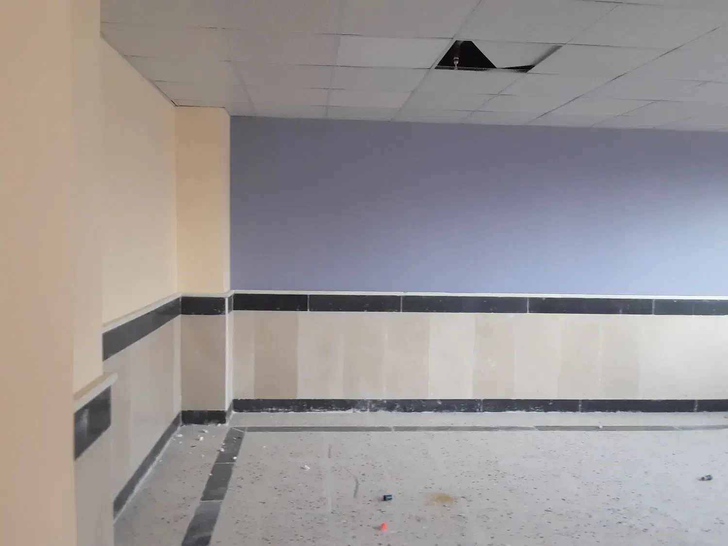 رنگ آمیزی|خدمات پیشه و مهارت|شیروان (خراسان), |دیوار