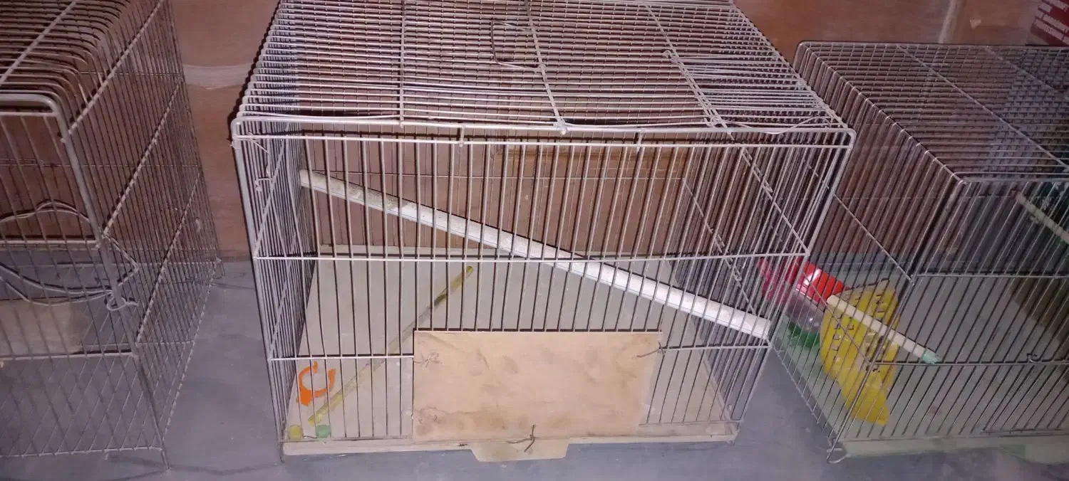 ۳عدد قفس پرنده|لوازم جانبی حیوانات|کرمانشاه, |دیوار