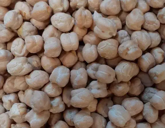 نخود تازه|خوردنی و آشامیدنی|زاغه, |دیوار