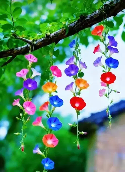 فقط با ثبت نام این جایزه بگیر لینک میخوای پیام بدی|کارت هدیه و تخفیف|کنار تخته و کمار, |دیوار