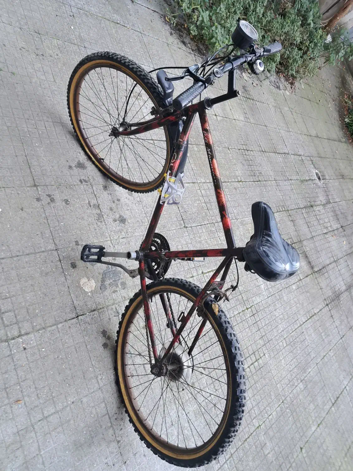 دوچرخه|دوچرخه، اسکیت، اسکوتر|رشت, شهرک شهید مفتح|دیوار