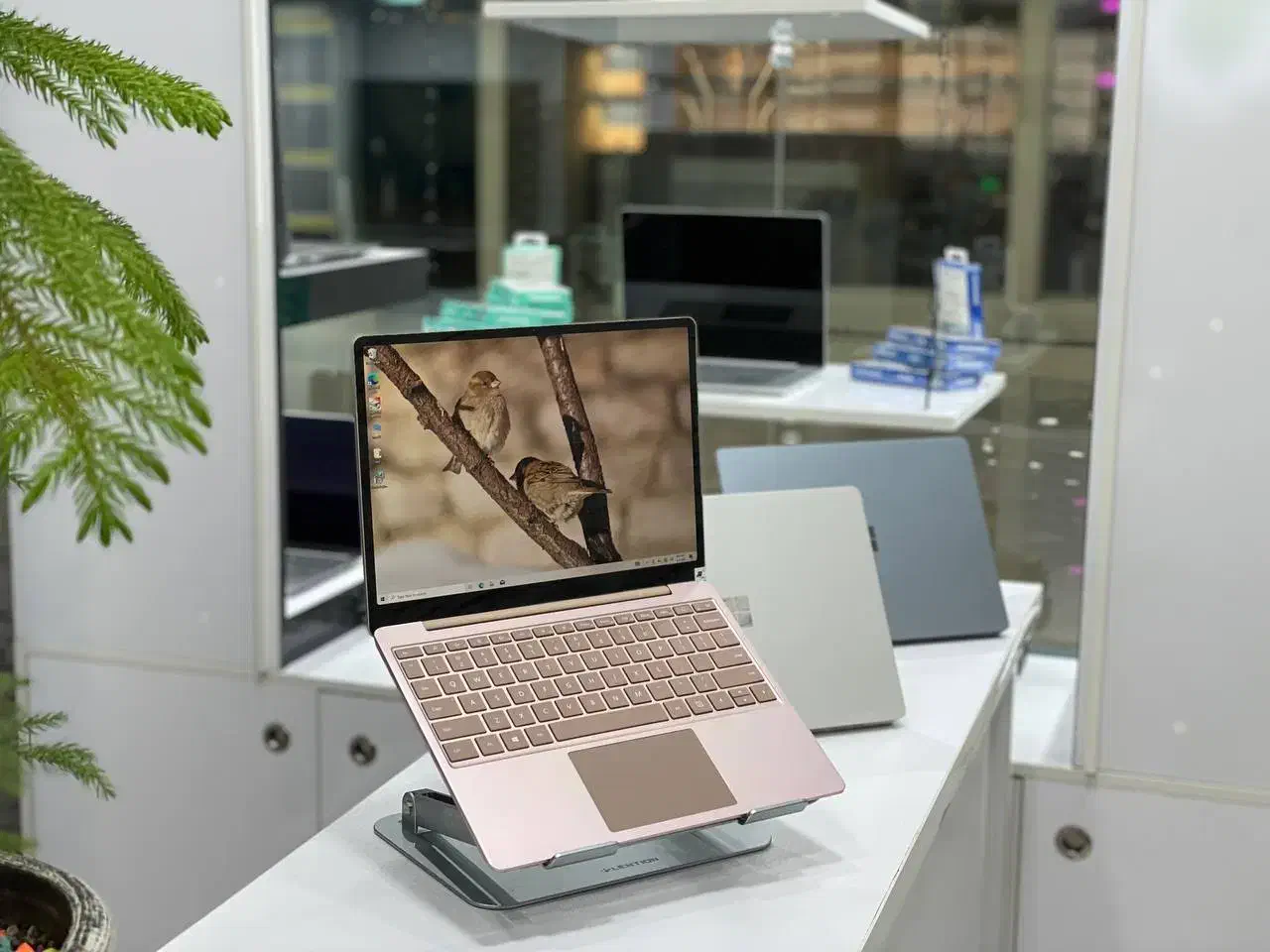 ۳۰۰ مدل لپ تاپ اقساطی تعداد محدود با گارانتی|رایانه همراه|تهران, میرداماد|دیوار