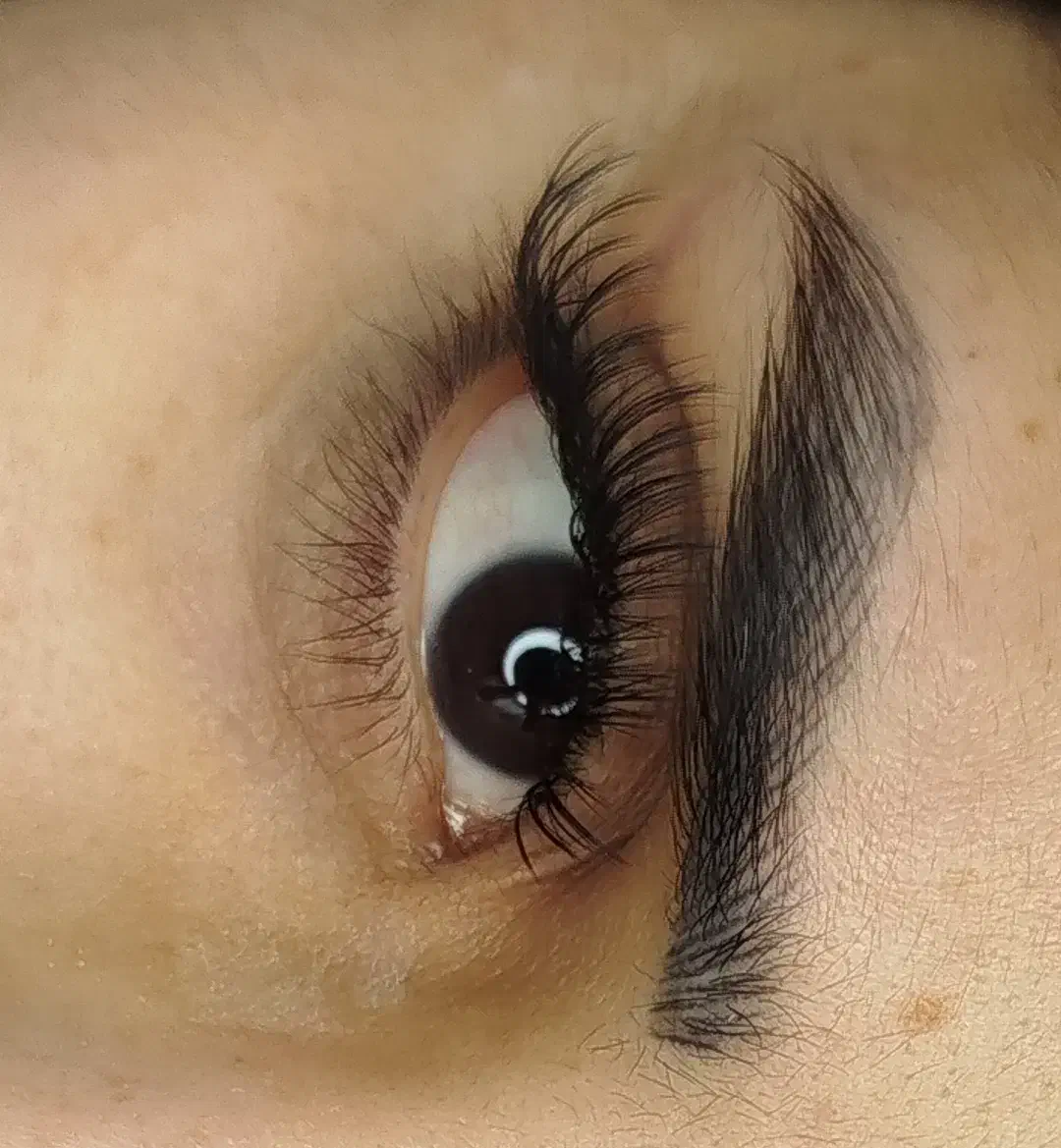 مدل اکستنشن مژه|خدمات آرایشگری و زیبایی|قم, شهرک مهدیه (مدرس)|دیوار