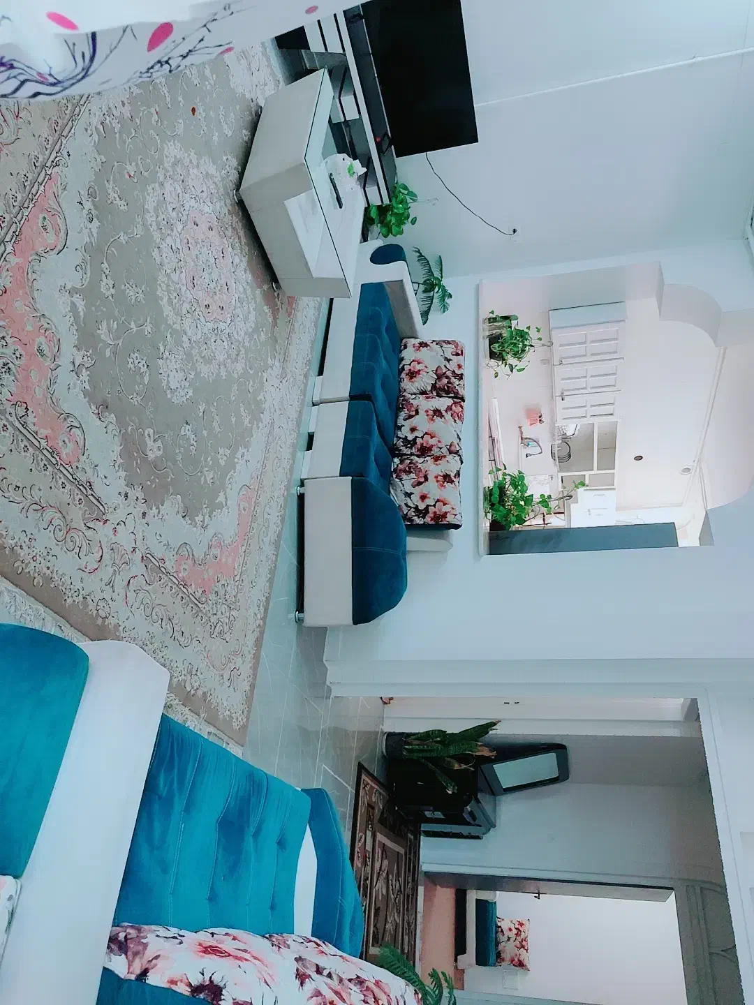 اجاره منزل|اجارهٔ کوتاه‌مدت آپارتمان و سوئیت|شیراز, آزادی|دیوار