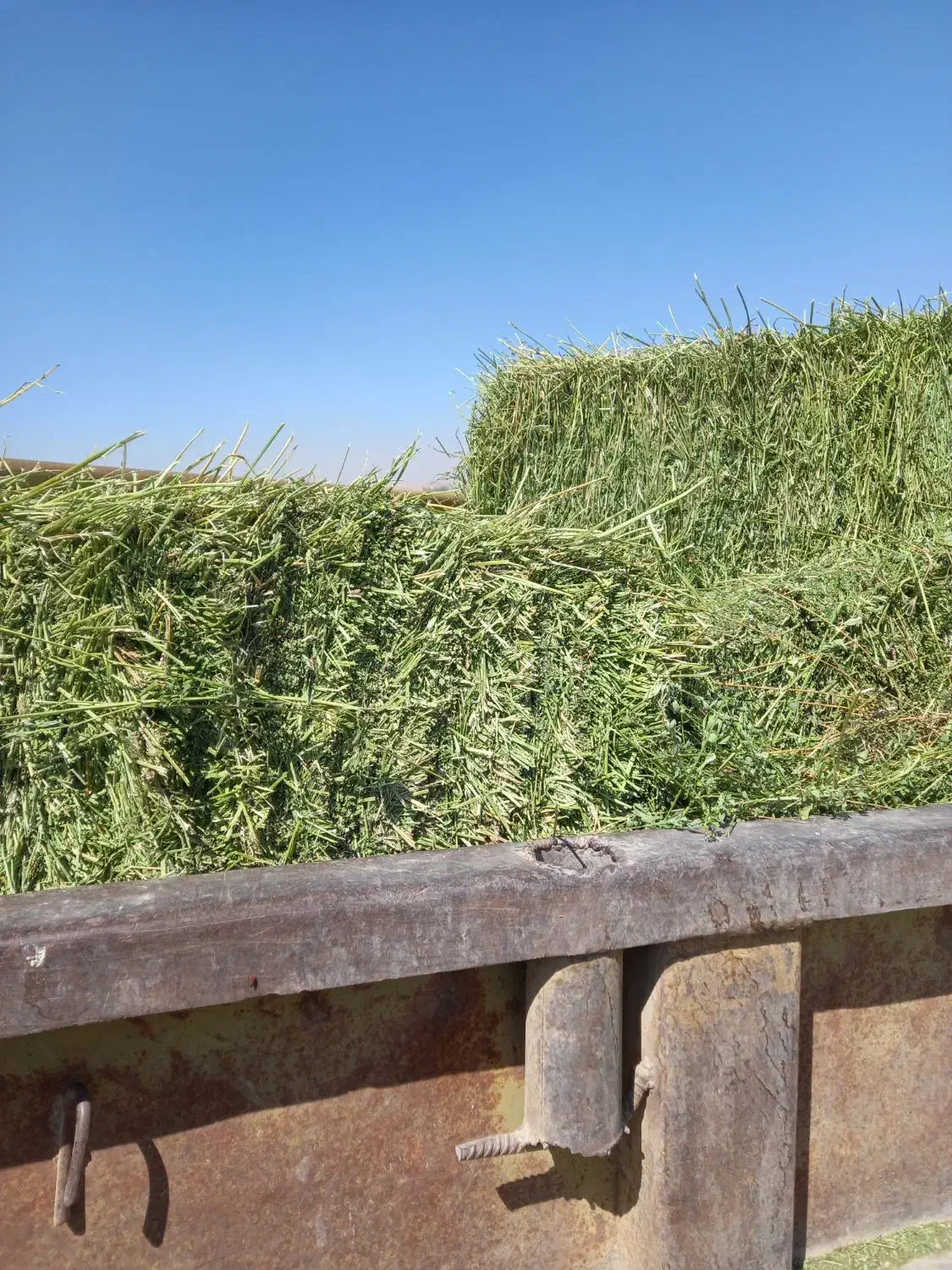 پرس یونجه|لوازم جانبی حیوانات|بروجرد, |دیوار