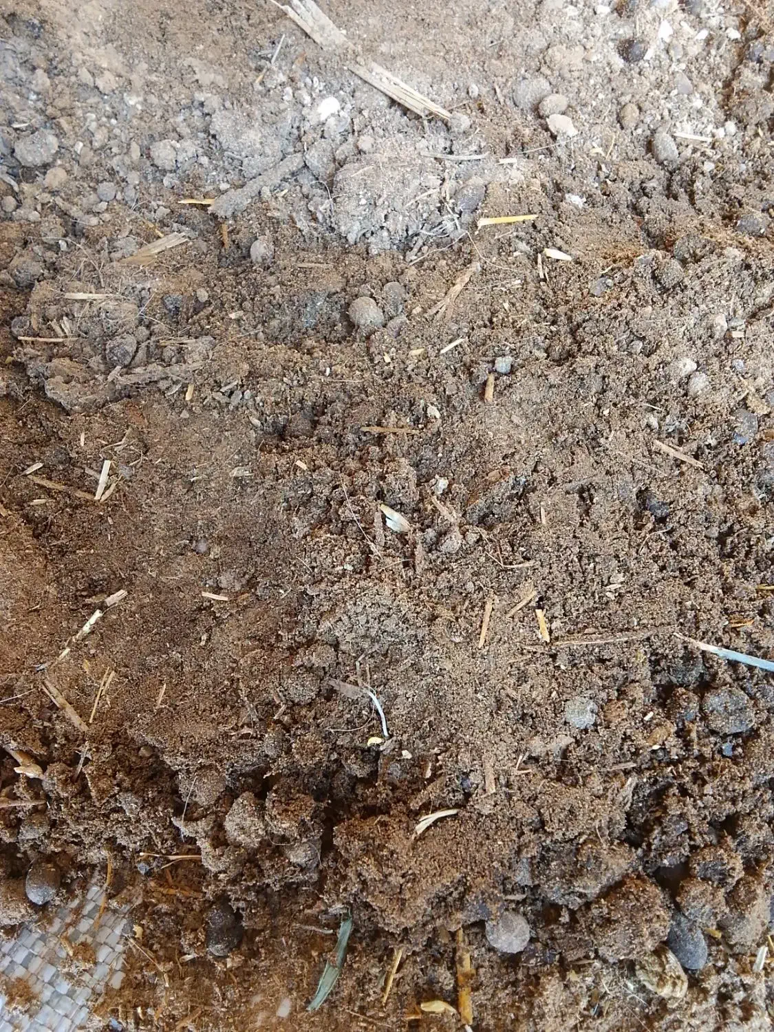 کود گوسفند و بز|خدمات باغبانی و درختکاری|برازجان, |دیوار