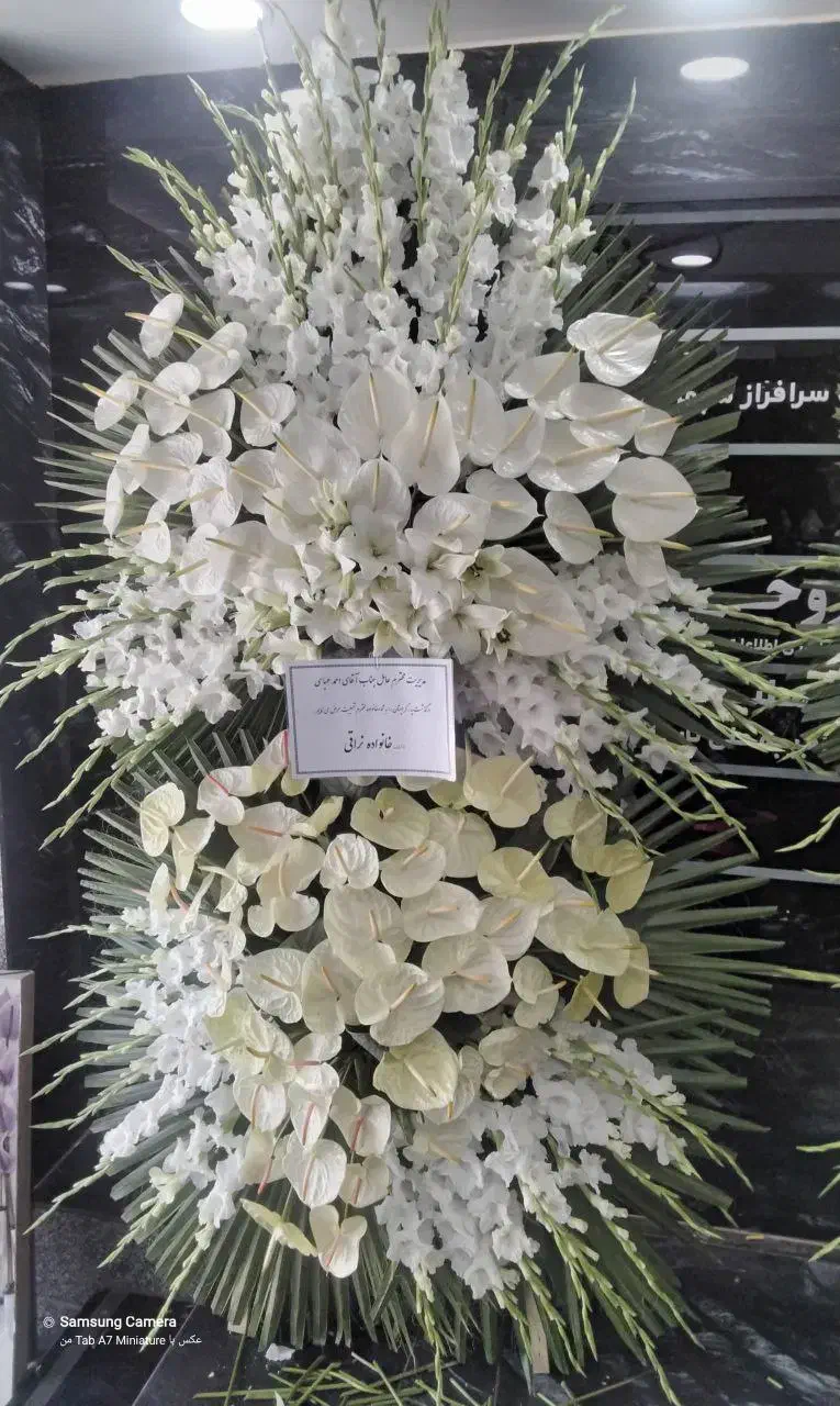 تاج گل|گل و گیاه طبیعی|تهران, جنت‌آباد جنوبی|دیوار