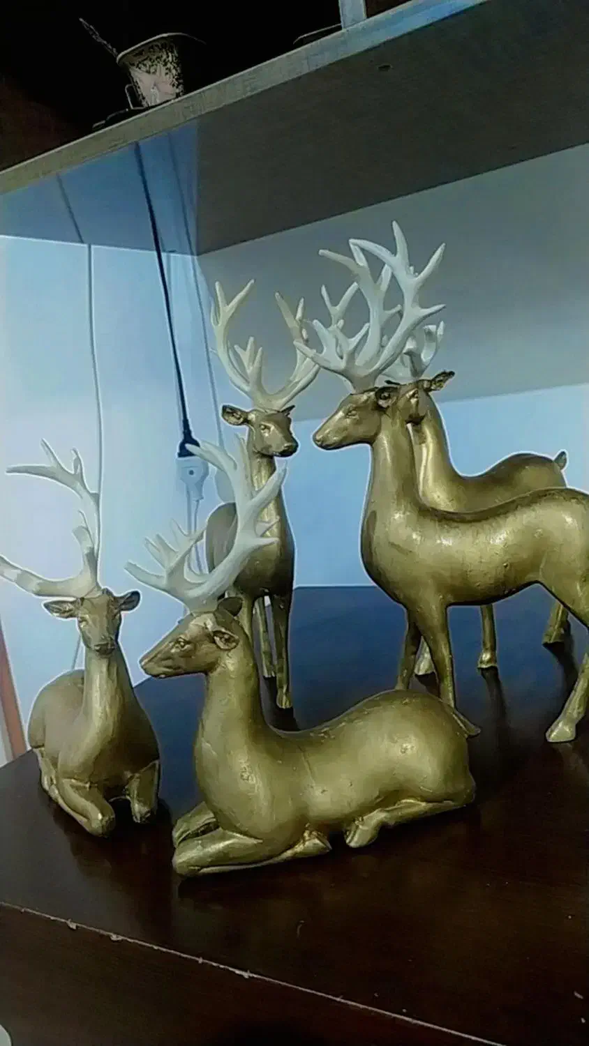 مجسمه دکوری|مجسمه، تندیس، ماکت|کلاله, |دیوار