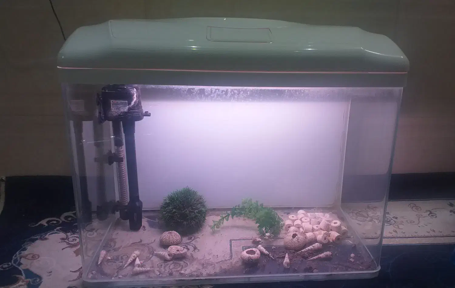 آکواریوم|ماهی|قم, بنیاد|دیوار