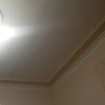 گچ کاری بنایی|خدمات پیشه و مهارت|قرچک, زیبا شهر|دیوار