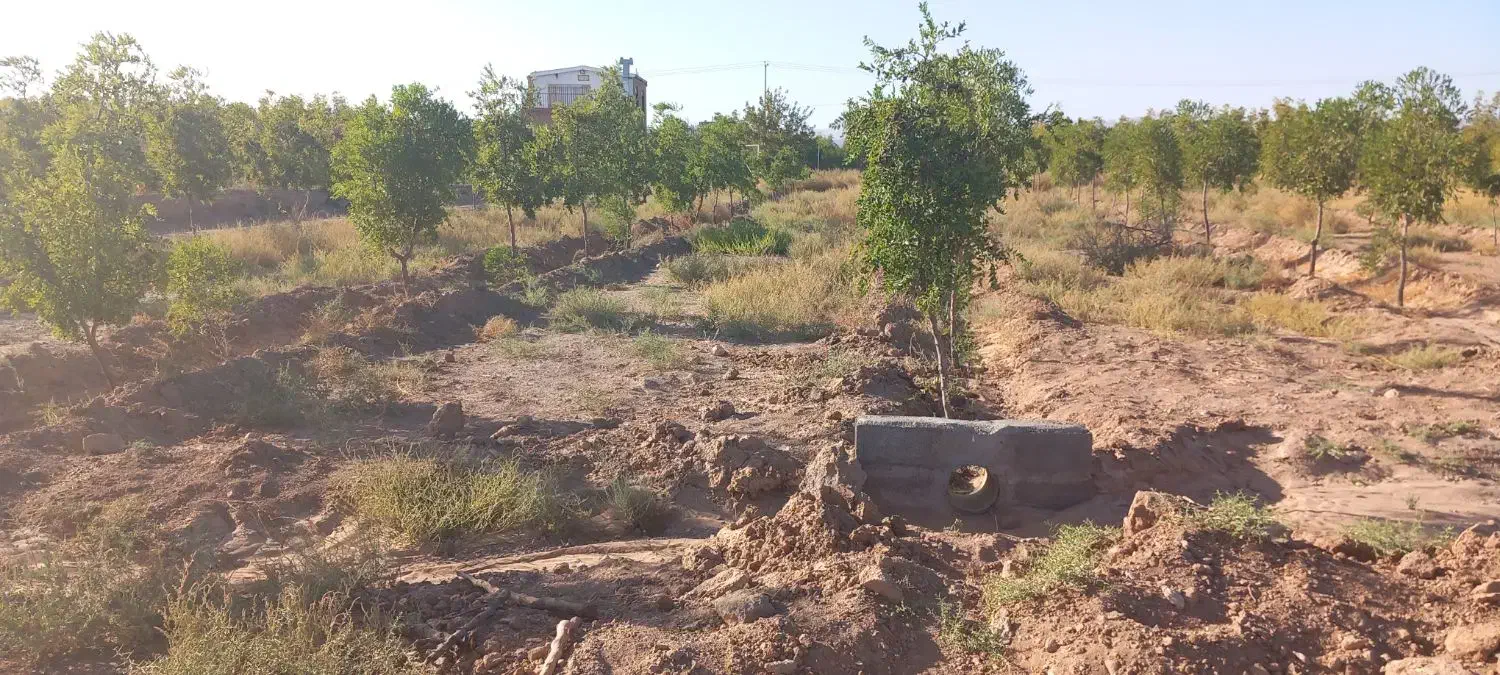 باغ فروشی|فروش زمین و ملک کلنگی|خوسف, |دیوار