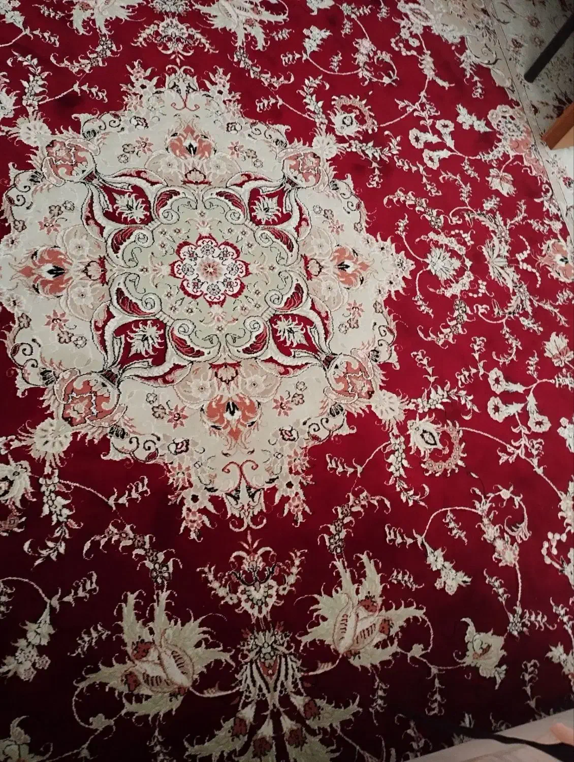 فروش  فرش ۵۰۰ شانە|فرش|مهاباد (آذربایجان غربی), |دیوار