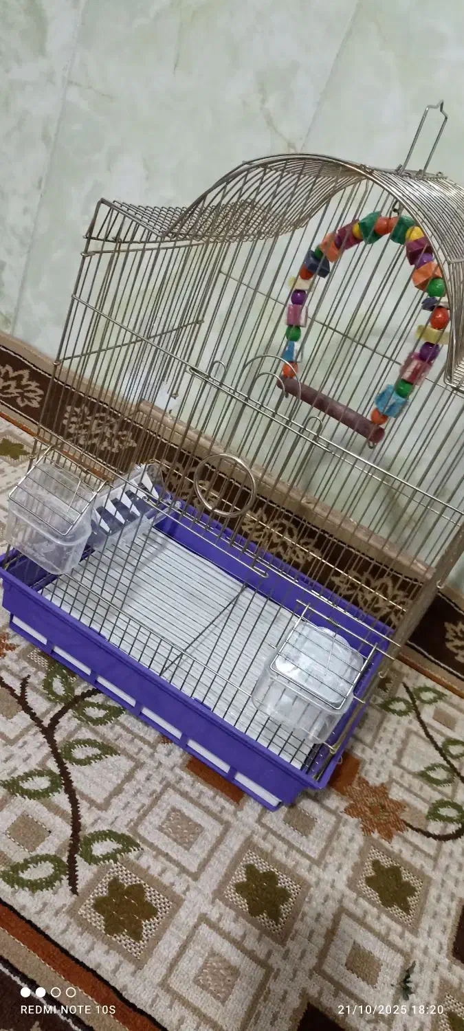 قفس پرنده|لوازم جانبی حیوانات|سبزوار, طبرسی (جعفرآباد)|دیوار