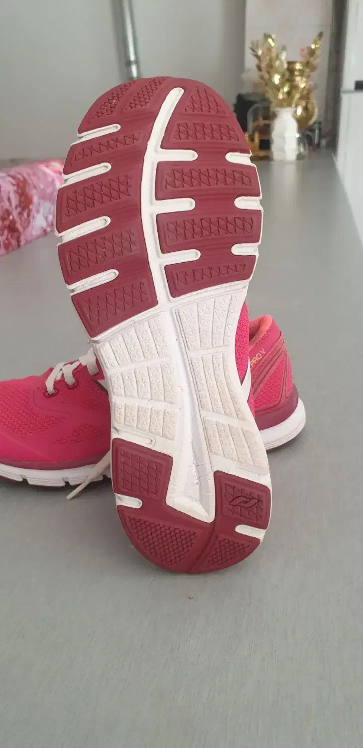 کفش خارجی|کیف، کفش، کمربند|میاندوآب, |دیوار