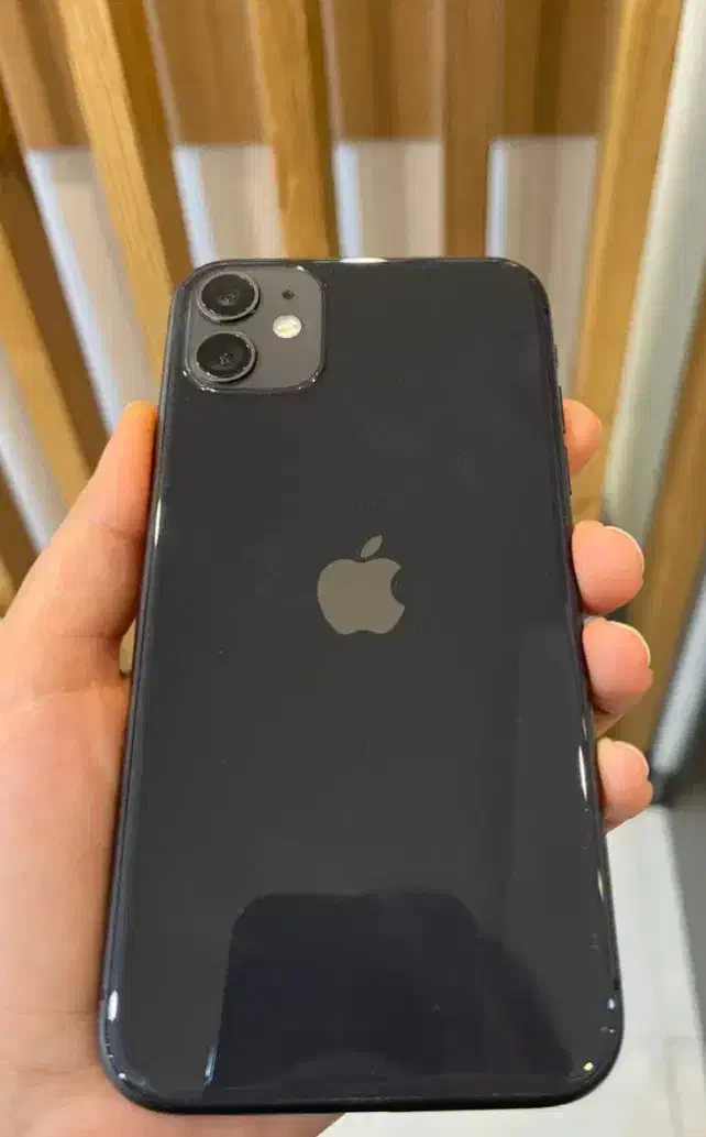 iPhone 11|موبایل|زاهدان, |دیوار