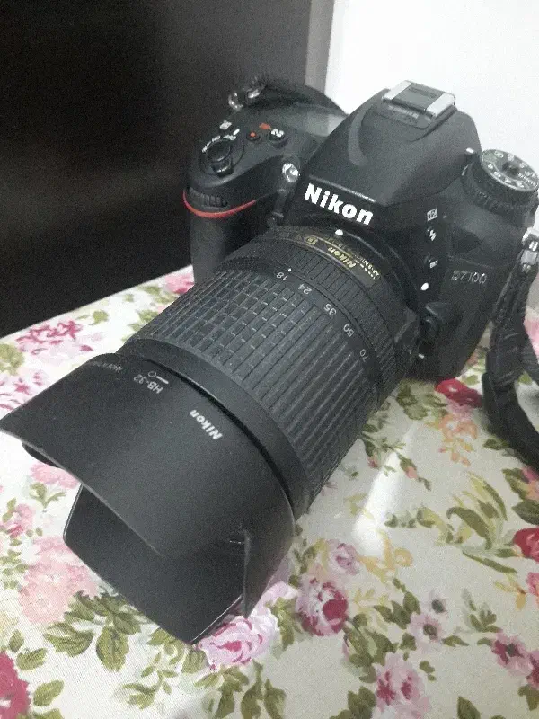 دوربین نیکون ۷۱۰۰D لنز 18.140|دوربین عکاسی و فیلم‌برداری|اردبیل, |دیوار