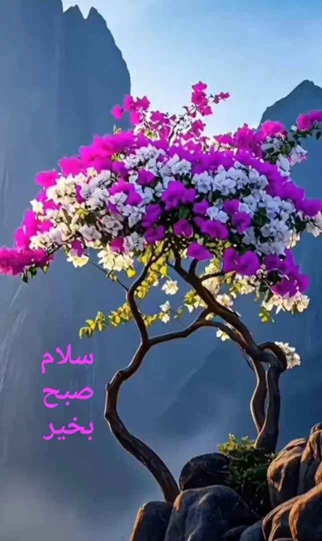 درمان قطعی قند خون تضمینی|آرایشی، بهداشتی، درمانی|اصفهان, کوی ولی عصر|دیوار