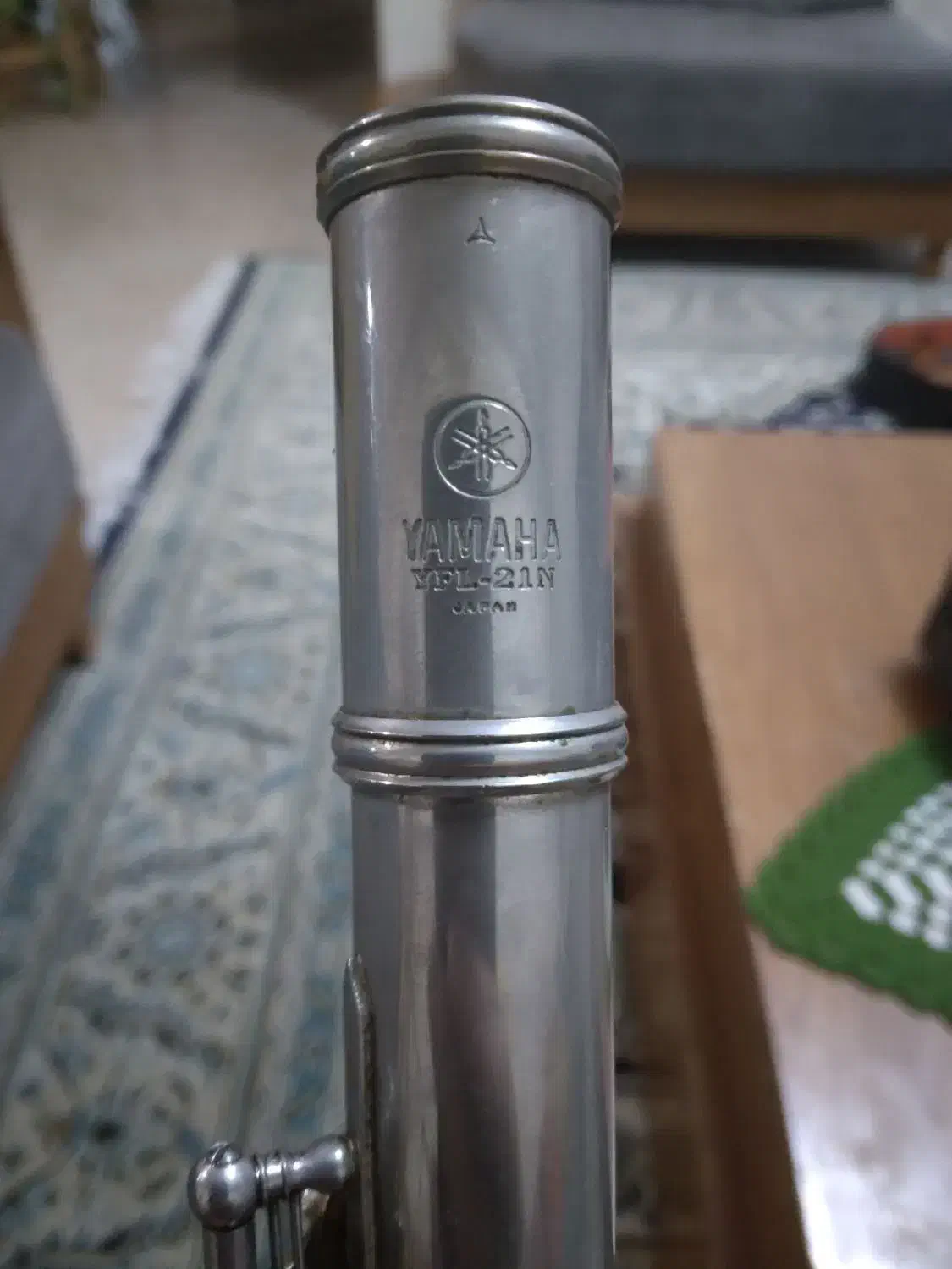 فلوت کلیدی|سازهای بادی|فردیس, نسترن غربی|دیوار