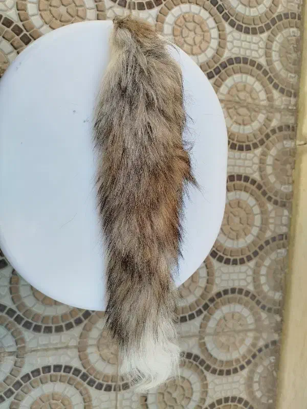 چشم نظر|بدلیجات|ساوه, |دیوار