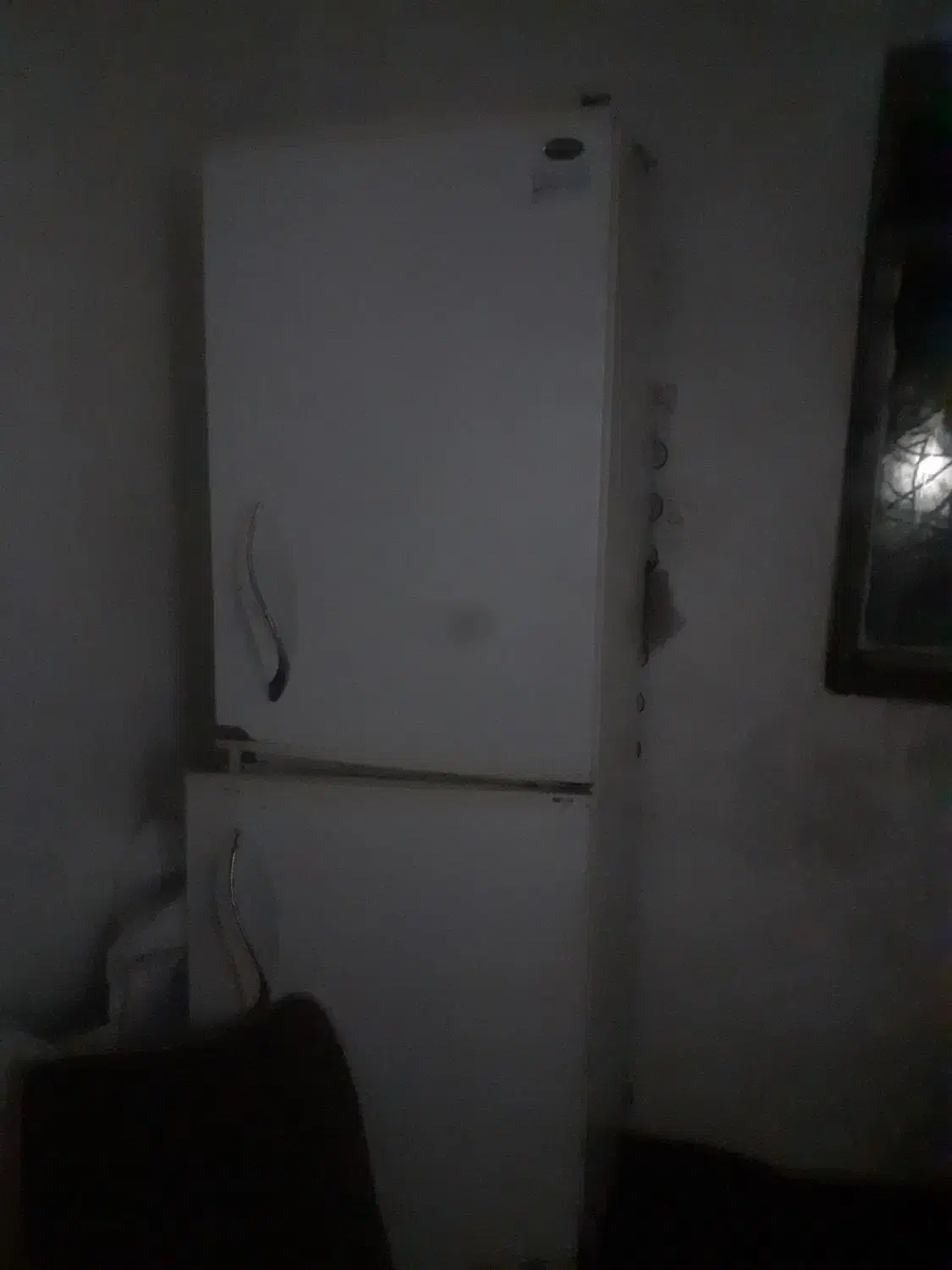 یخچال فریزر سالم|یخچال و فریزر|زاغه, |دیوار