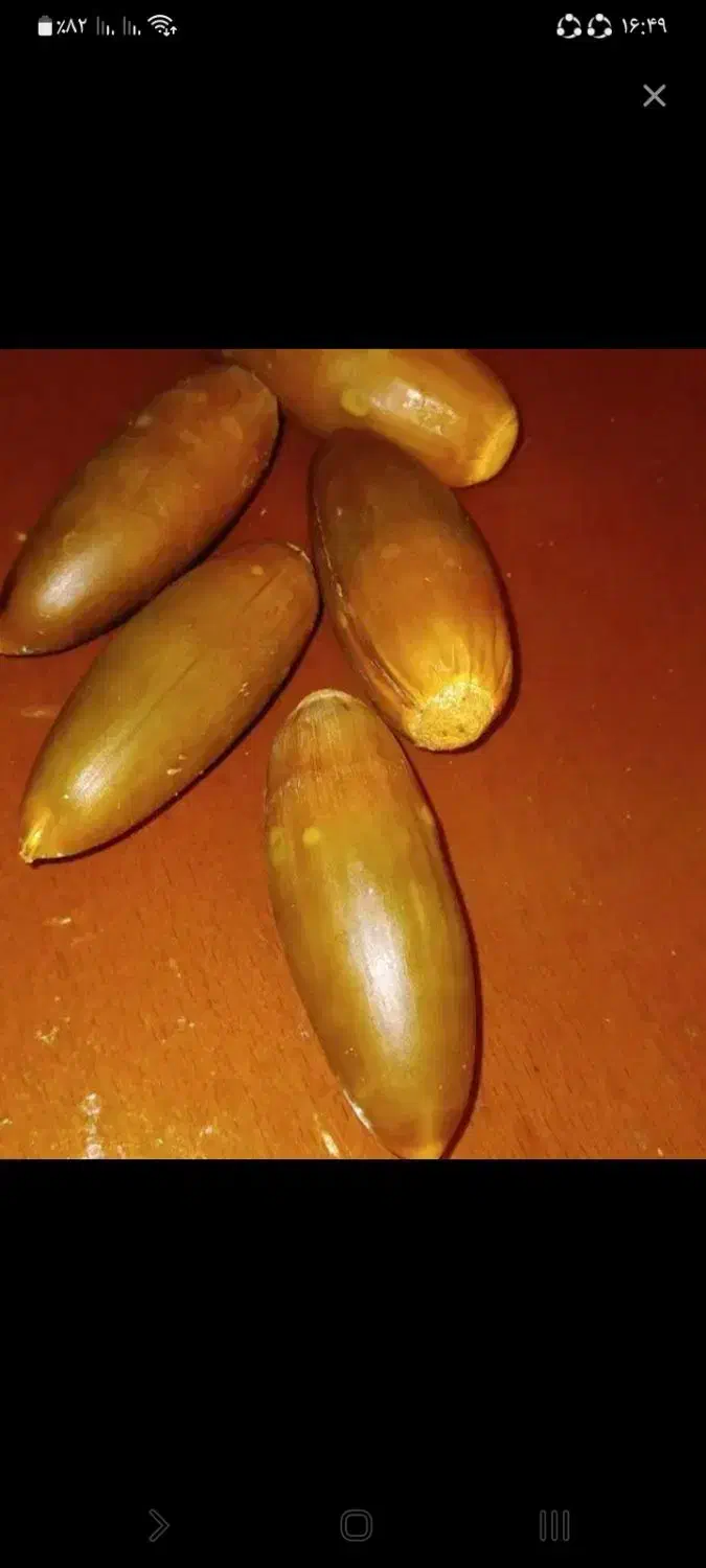 بلوط|خوردنی و آشامیدنی|آبدانان, |دیوار