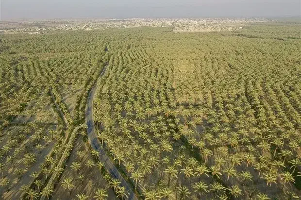 کشاورز برای چاه پیر|استخدام صنعتی، فنی، مهندسی|اهرم, |دیوار