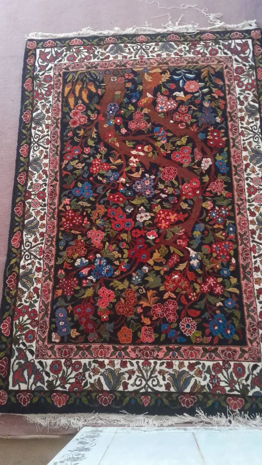 فروشی|فرش|لاران, |دیوار