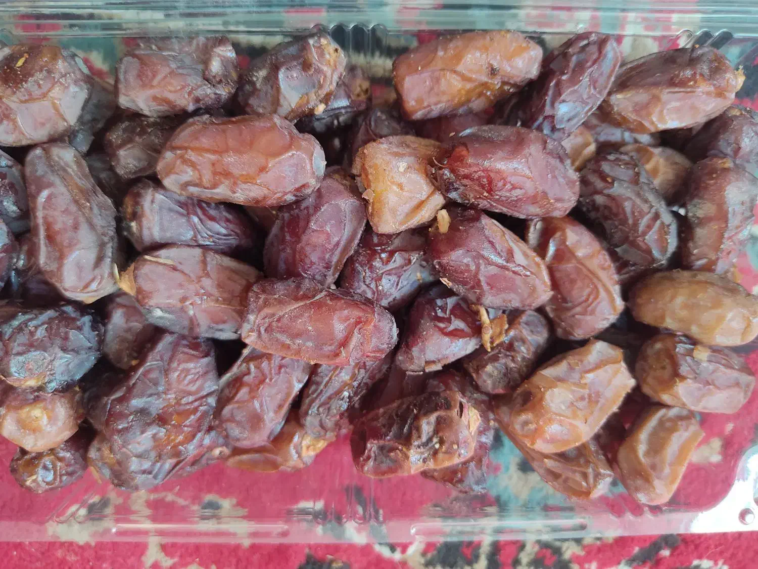 خرما پیارم جم|حراج|شیراز, دارالرحمه|دیوار
