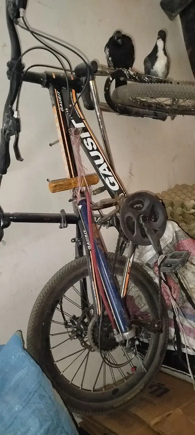 دوچرخه سایز 20|دوچرخه، اسکیت، اسکوتر|طرقبه, |دیوار