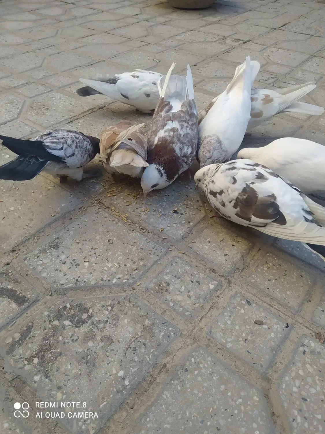 همگی سالم|اسباب و اثاث بچه|نهاوند, |دیوار