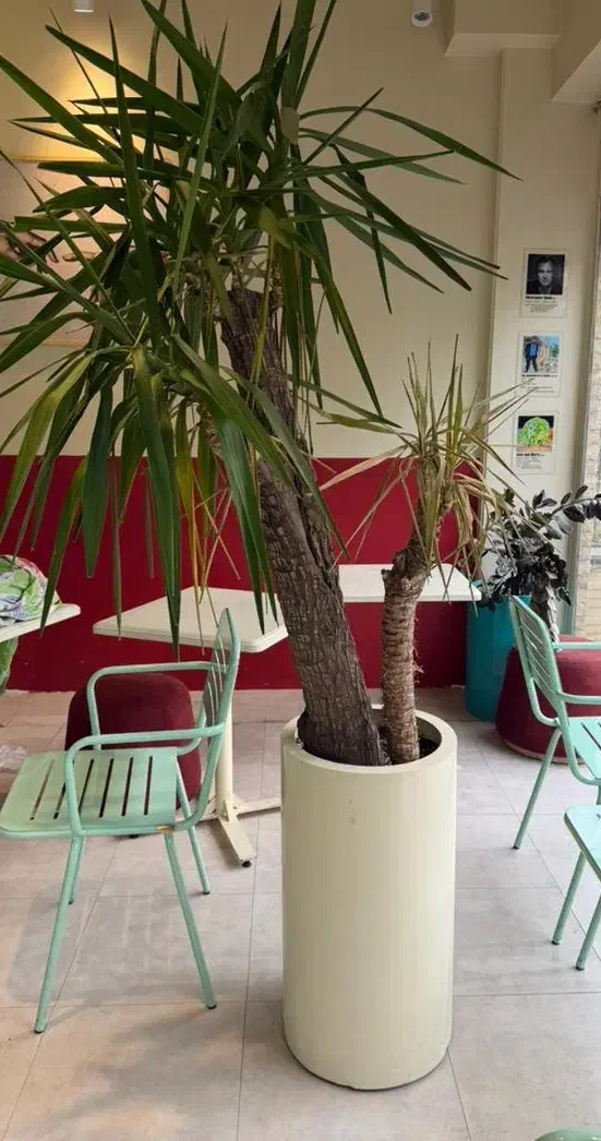 ۲ عدد پاف و گلدان ها و اینه به فروش میرسد|فروشگاه و مغازه|تهران, دریا|دیوار