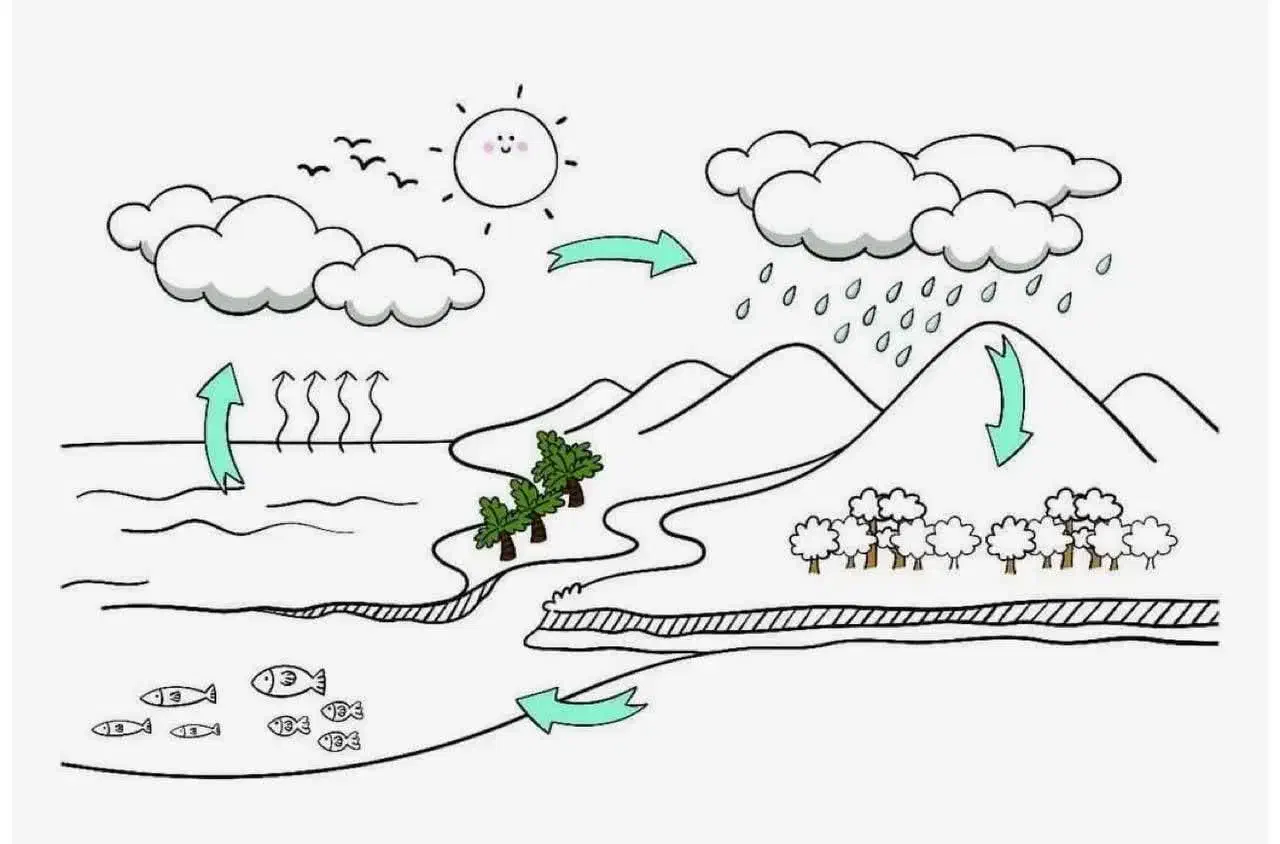 ریاضی|کتاب و مجله آموزشی|مشهد, قائم|دیوار