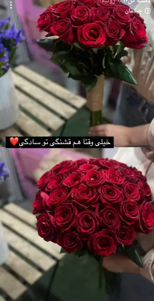 انواع دسته گل رز ، رز هلندی فقط شاخه ای 20تومان|گل و گیاه طبیعی|مشهد, هنرور|دیوار