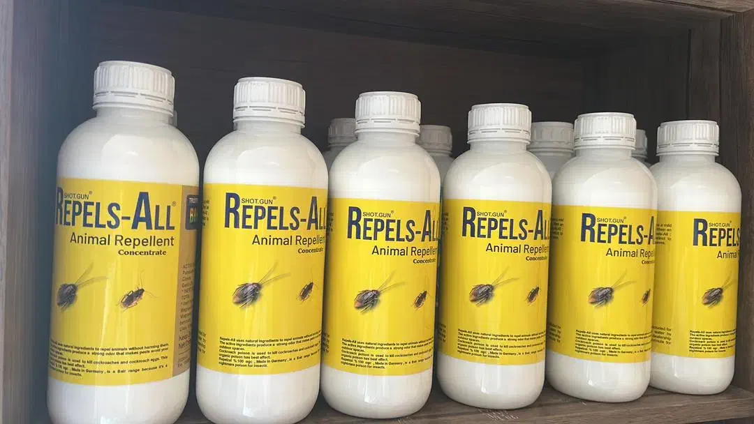 فروش سم قوی سوسک،موش،مورچه،مارمولک،ساس|خدمات نظافت|تهران, فاطمی|دیوار