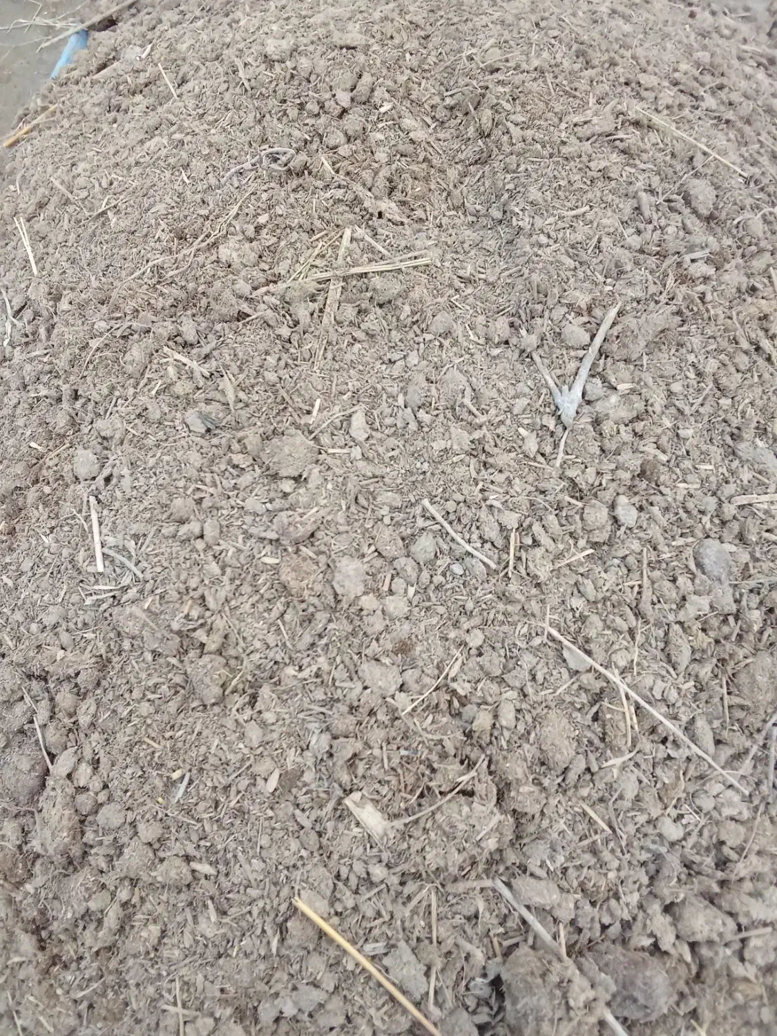 پهن خشک|خدمات باغبانی و درختکاری|انزل, |دیوار