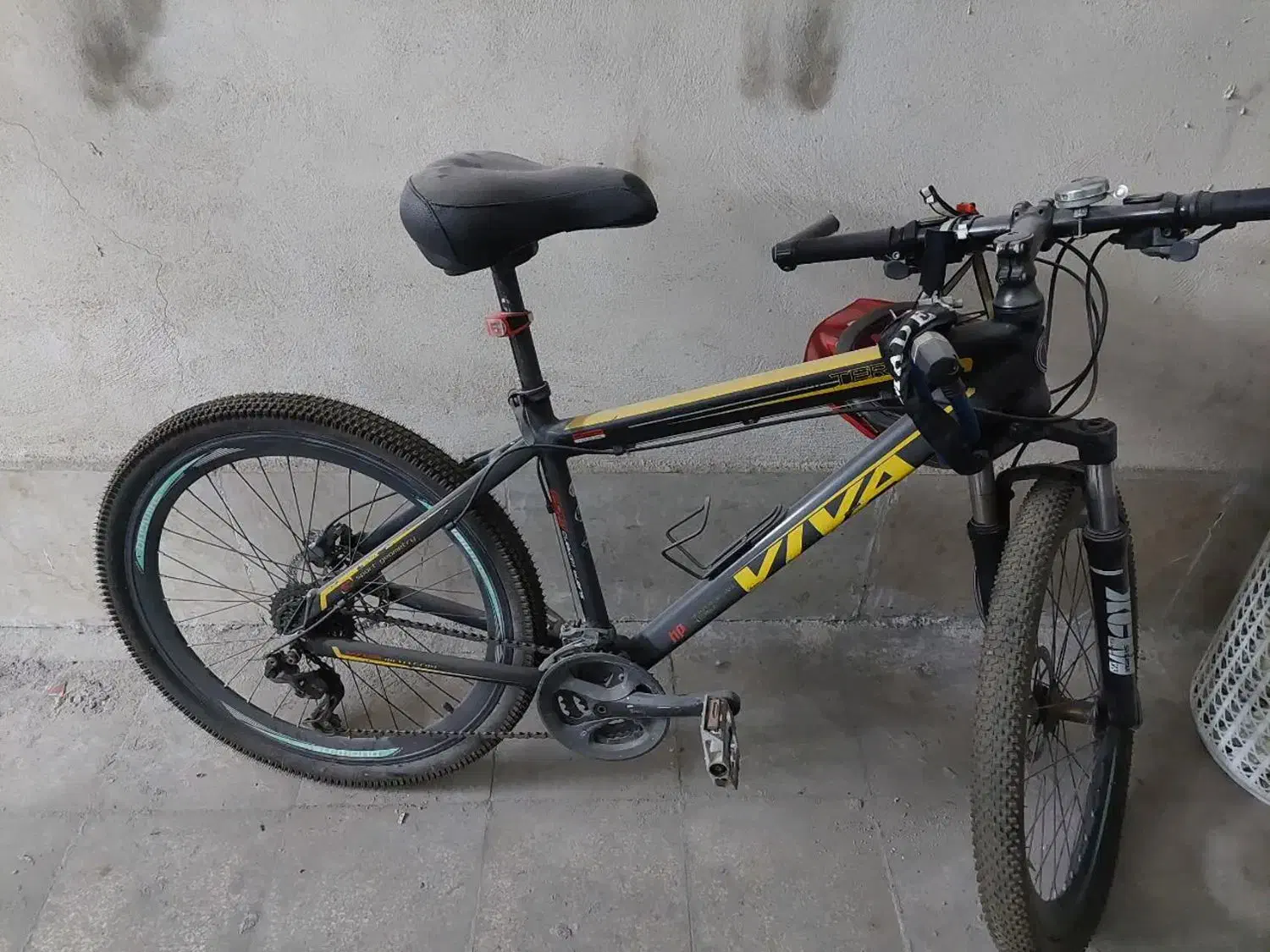 دوچرخه ویوا اصل|دوچرخه، اسکیت، اسکوتر|مشهد, سمزقند|دیوار