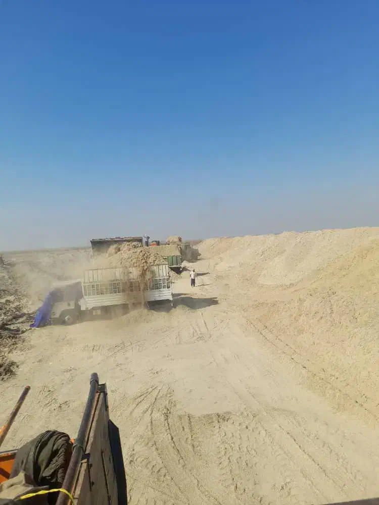 کاه‌نیشکر|حیوانات مزرعه|ساروق, |دیوار