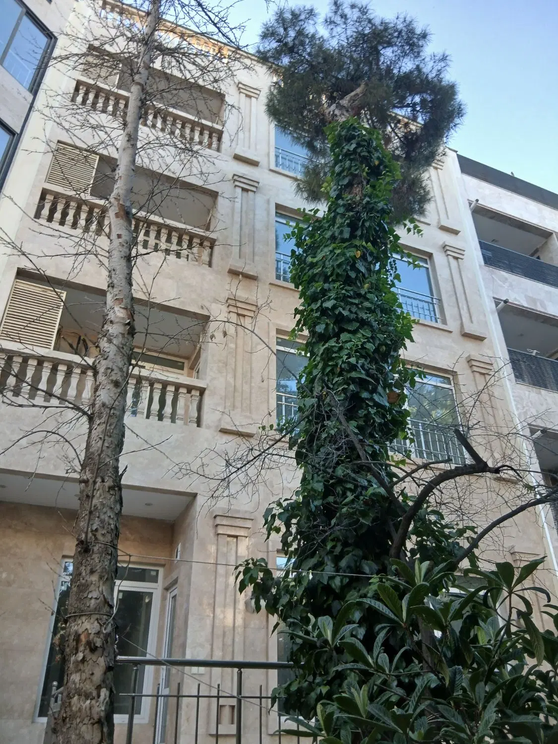 تصویر 3