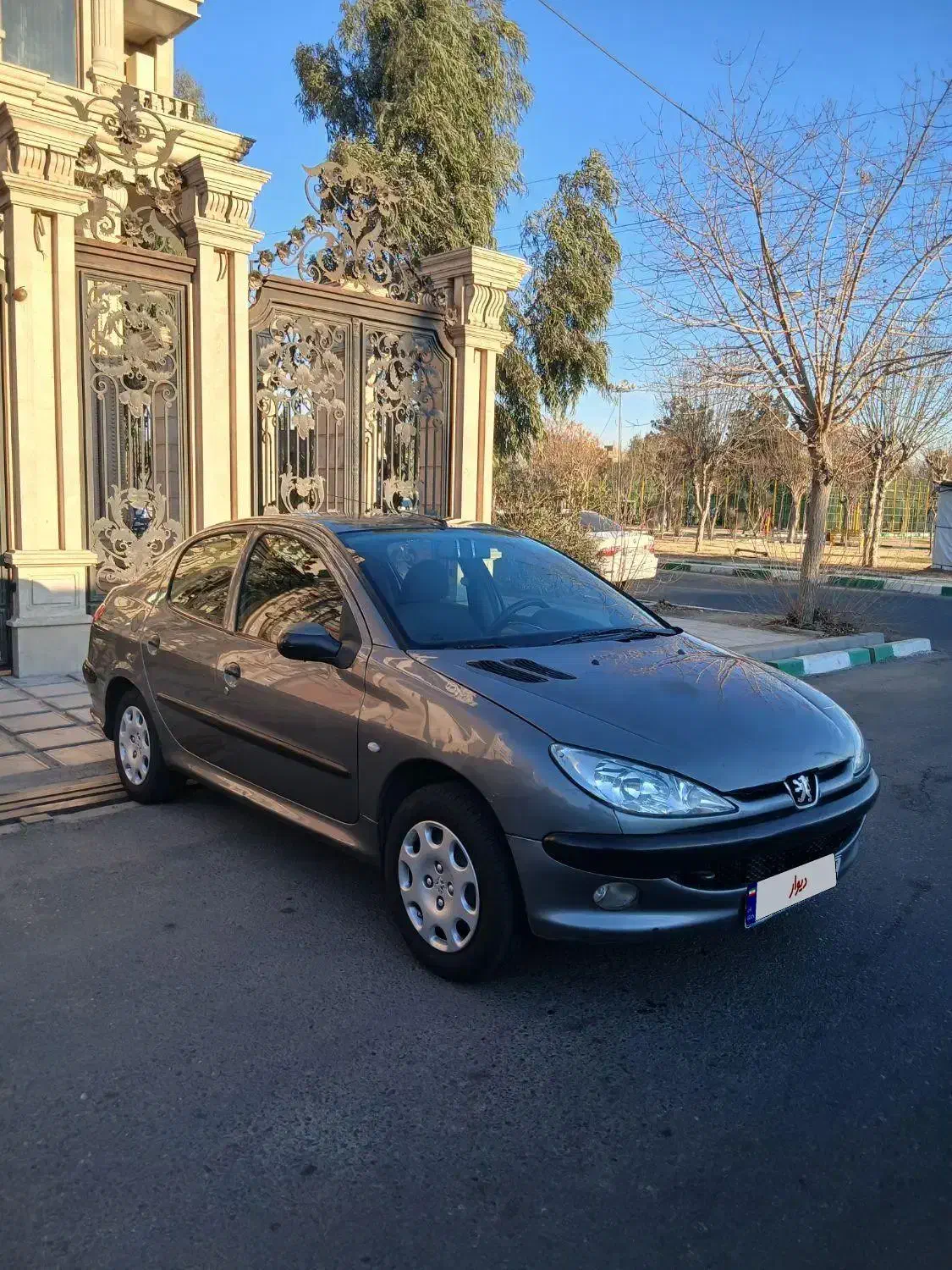 ۲۰۶اس دی وی۸|خودرو سواری و وانت|ری, علایین|دیوار