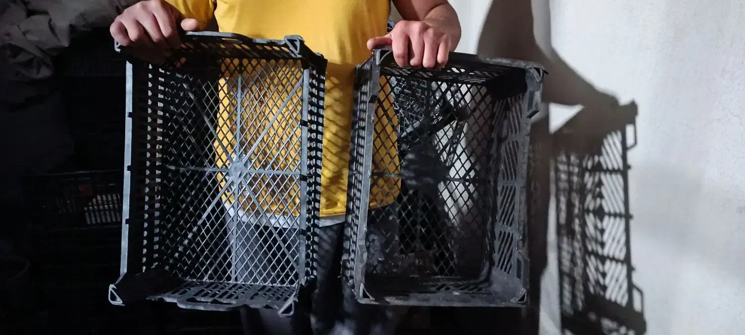 سبد اتوبوسی مخصوص قارچ|ظروف نگهدارنده، پلاستیکی، یکبارمصرف|سنندج, |دیوار