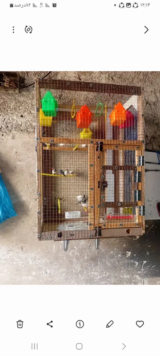 قفس چوبی|لوازم جانبی حیوانات|پاکدشت, خاتون آباد|دیوار