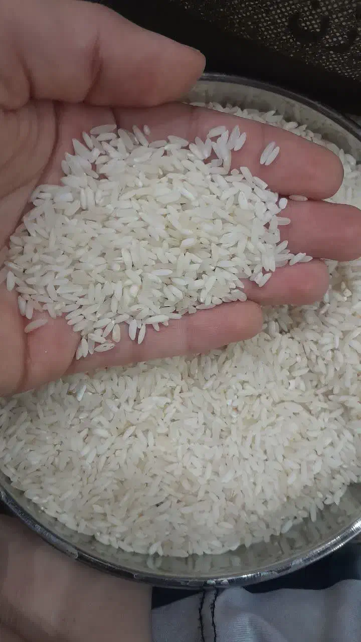 برنج|خوردنی و آشامیدنی|قم, ناصردیوان|دیوار